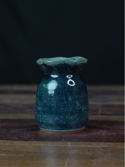 Showcase image 5