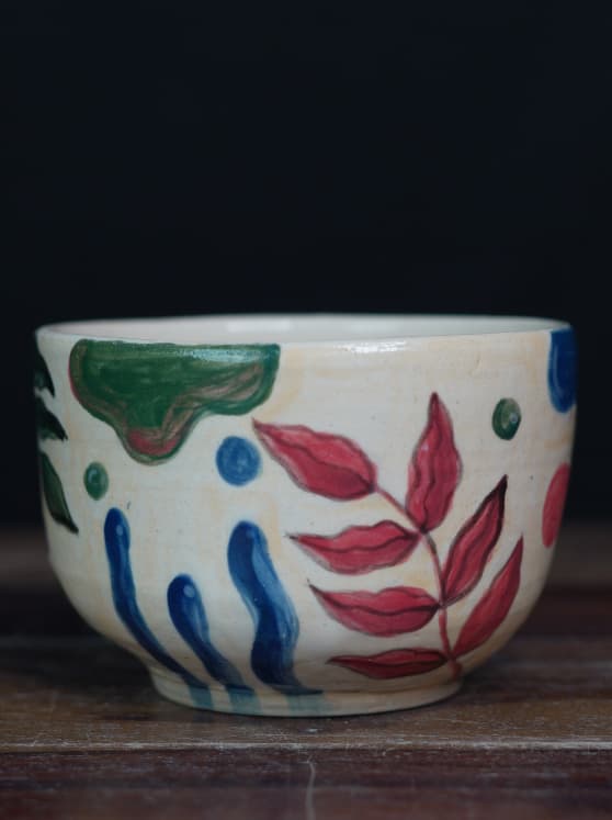 Showcase image 2