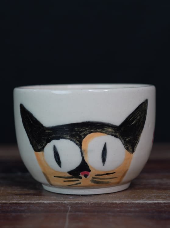 Showcase image 5